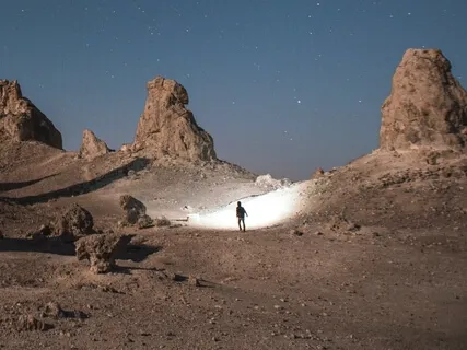 Journey To Silence - With Birds