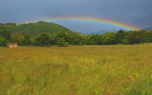 Journey To Sleep - Rainy Cabin