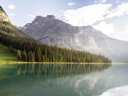 Journey To The Castle Of Light- Micro Sleep Story