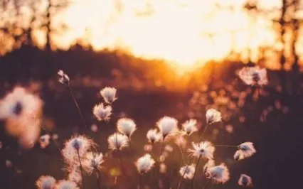 Journey To The Center