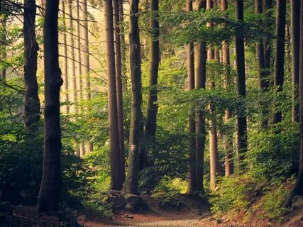 Journey To The Center Of Me - Acknowledging Abuse