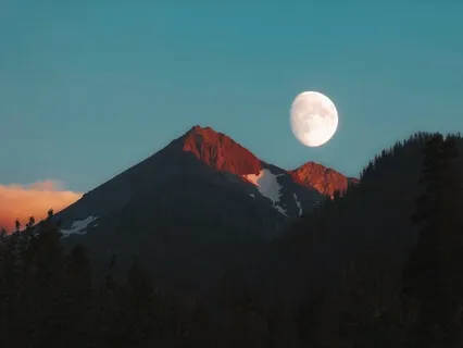 Journey To The Center Of Me: Humanity