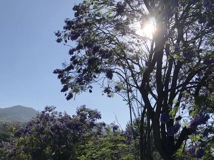 Journey To The Cottage