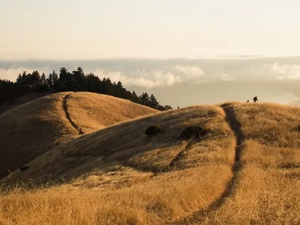 Journey to the Exuberance of Youth