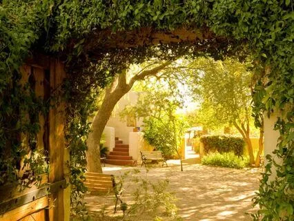 Journey To The Healing Garden For Relaxation And Healing