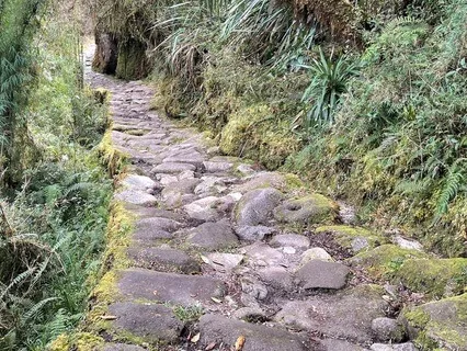 Journey To The Heart (Yoga Nidra 31:21)