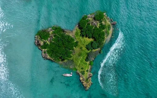 Journey To The Heart