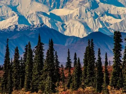 Journey To The Ice Wall (Long Bedtime Story)