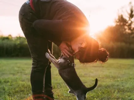 Journey To The Joy Of A Dog