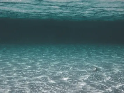 Journey To The Ocean Depths And Gain Your Worth