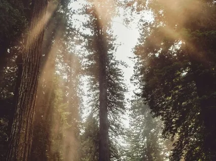 Journey to the Origin of Humankind