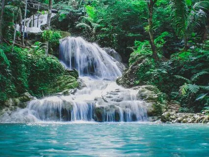 Journey To The Sacred Grove - Deep Sleep Practice