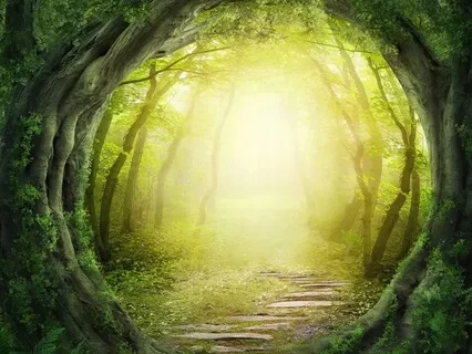 Journey To The Sacred Place Within 