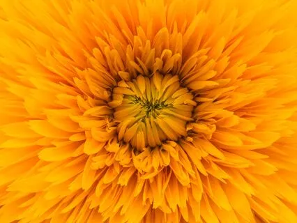 Journey To The Summer Solstice - Day 4