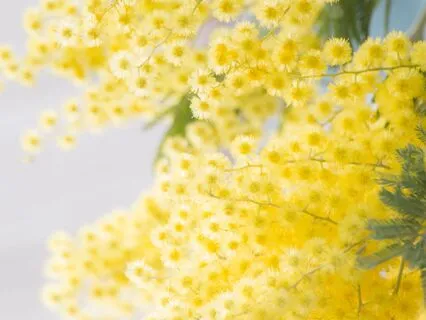 Journey To The Summer Solstice - Day 6