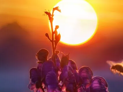 Journey To The Summer Solstice - Day 8