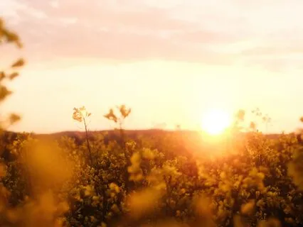 Journey To The Summer Solstice - Day 9