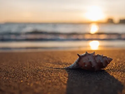 Journey To The Sunrise