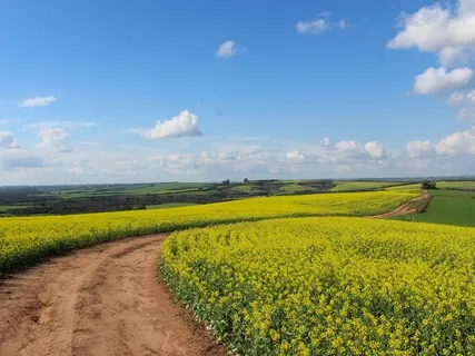 Journey To The Tranquil Countryside