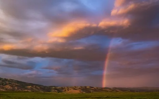 Journey To This Moment 