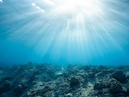 Journey To Tranquility | Slow Down & Find Presence