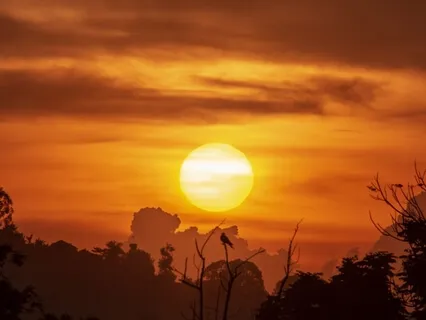 Journey To Uganda: A Sleep Meditation 