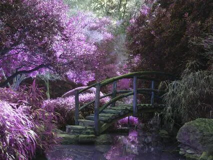 Journey To Your Inner Garden