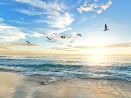 Journey To Your Light 