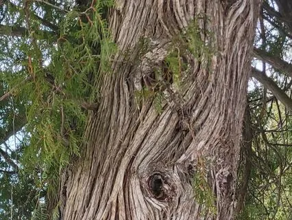 Journey To Your Resource Place