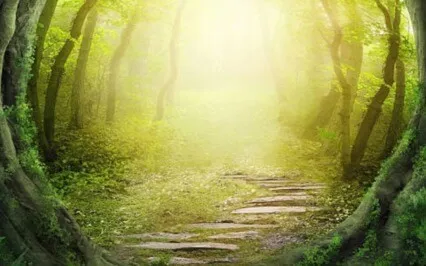 Journey To Your Safe Haven