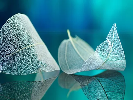 Journey To Your Secret Garden