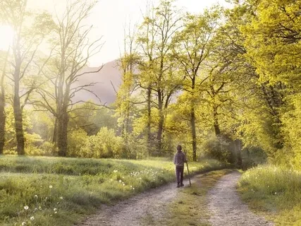 Journey To Your Secret Sanctuary