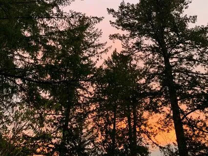 Journey To Your Shadow Guided Visualization