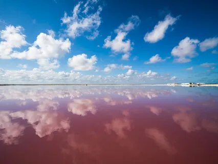 Journey To Your Weight Loss