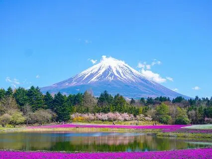 Journey Up The Sacred Mountain