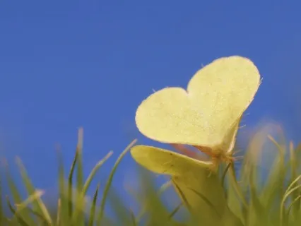 Journey With Future You