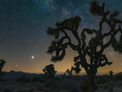 Journey With The Desert Shaman: A Path To Inner Stillness