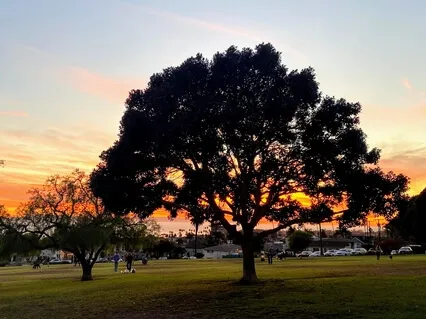 Journey Within Sound Bath