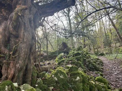 Journey Within: Transformation For Your Body