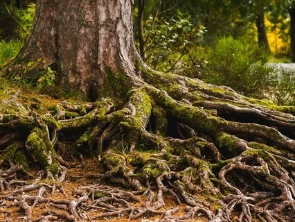 Journeying Deep Into The Earth