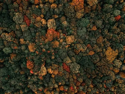 Bring More Joy & Happiness To Your Existence