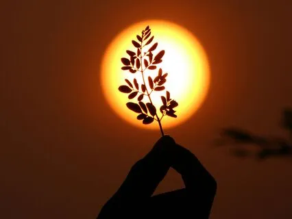 Joy And Sorrow | Khalil Gibran Poem