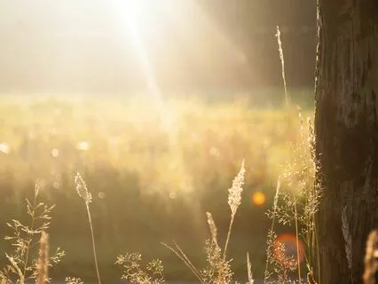 What Would Set My Soul On Fire: Self-Compassion Meditation