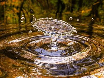 Joy In Small Moments