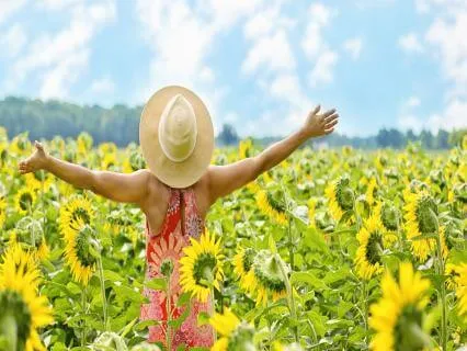 Joy Of Life