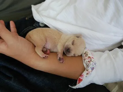 Blissful Harmony | Soothing Delta Waves Symphony