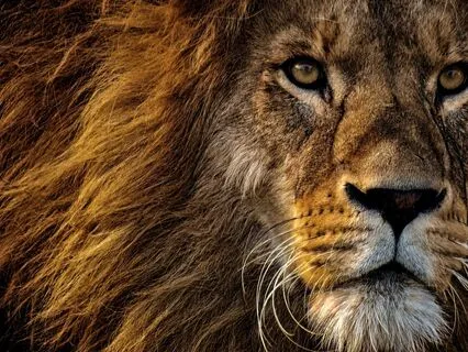 Joy: The Ultimate Power Move