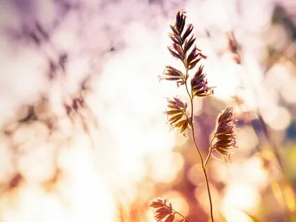 Joyful (2 Hours Of Tranquil Piano & Brainwave Music)