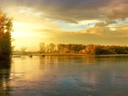 Joyful Companion Music For Anxiety Relief