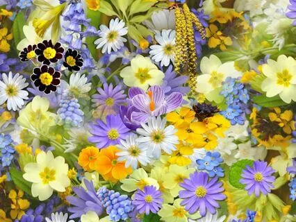 Honouring Grief  | The Calm Sleep Lofi Beat Collection